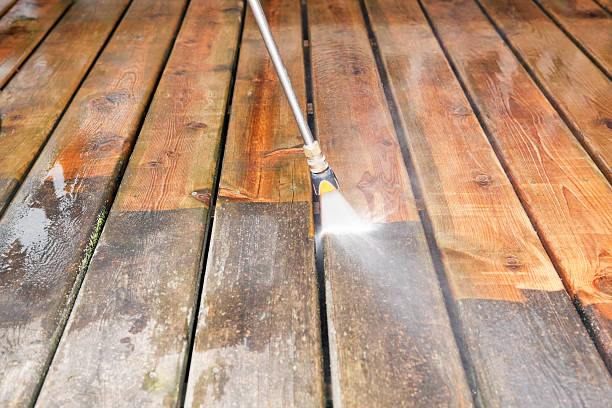 Animal Enclosure Cleaning in Onalaska, WI